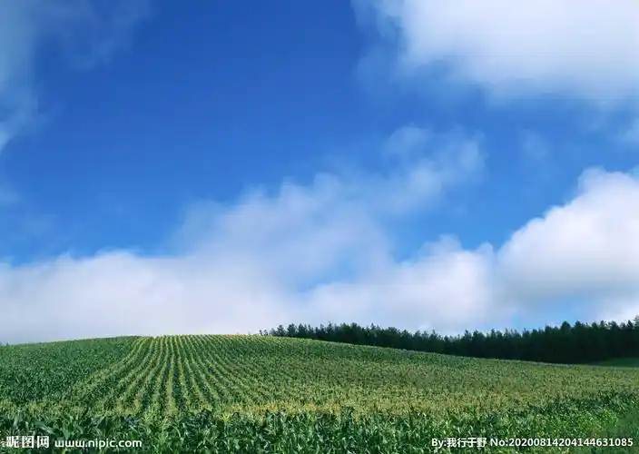 蓝天绿地摄影图__自然风景_自然景观_摄影图库_昵图网nipic.com