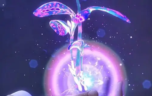 本以为蓝银草中的"王者"是蓝银皇,看到这一棵,阿银