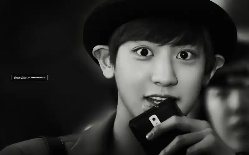 exo最齐全,最高清,最帅,最萌,最可爱的壁纸图