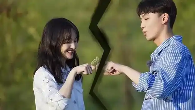 郑爽650万,从顶流小花到人人喊打的,她哪里错了|张翰|张恒|胡彦斌