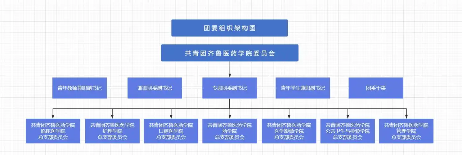 团委组织架构图