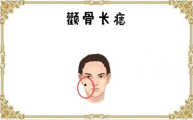 颧骨长痣颧骨中的"颧"与"权"谐音,代表的是一个人的权利与财势等,若是