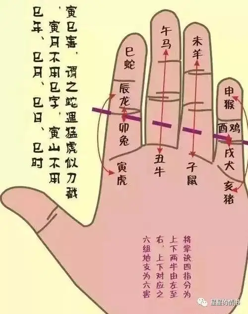 先天八卦掌诀图示编辑十二长生掌诀图示编辑"掐指"只是古人在占算时