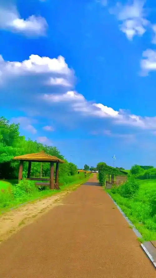 草原那叫真的美##带你看世界风景奇观