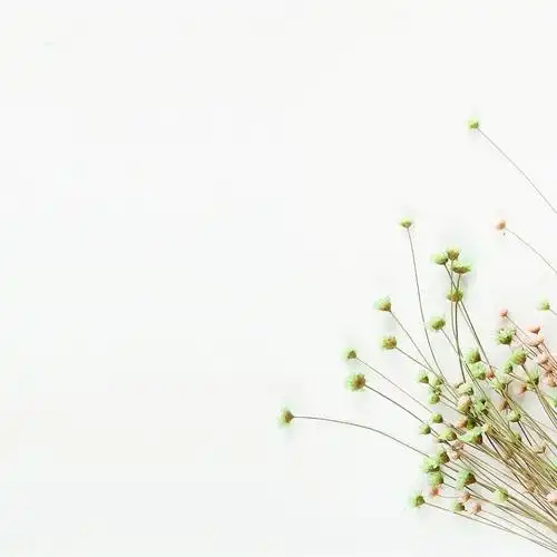 第2页_ppt背景_ppt_ppt模板_办公素材