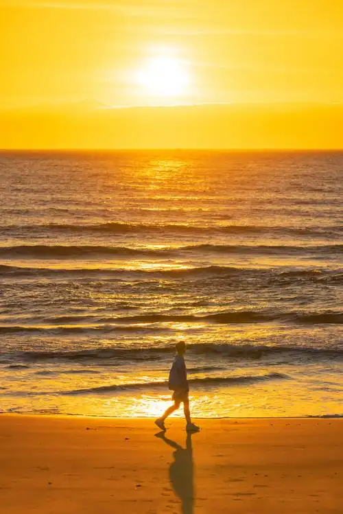 伙伴一起去看海  看成群的海鸥在天上飞舞  细细聆听海浪的声音  大海