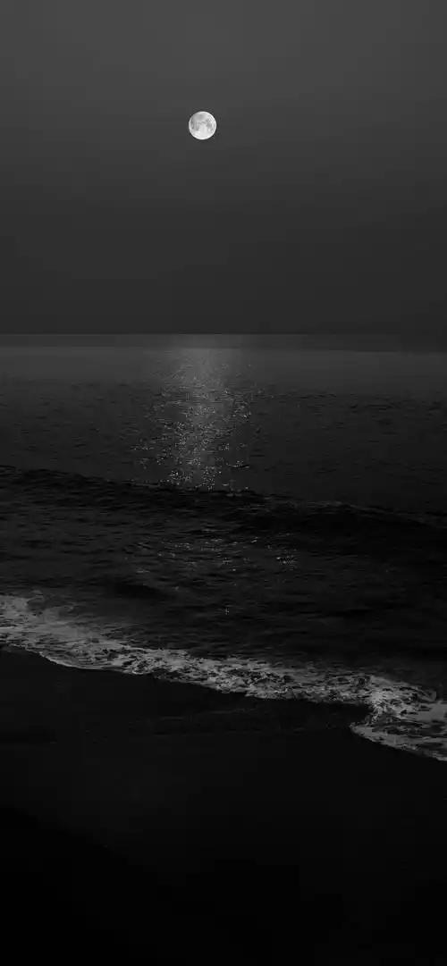 壁纸每张都喜欢黑色系壁纸