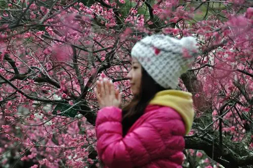 麻豆美女与梅花