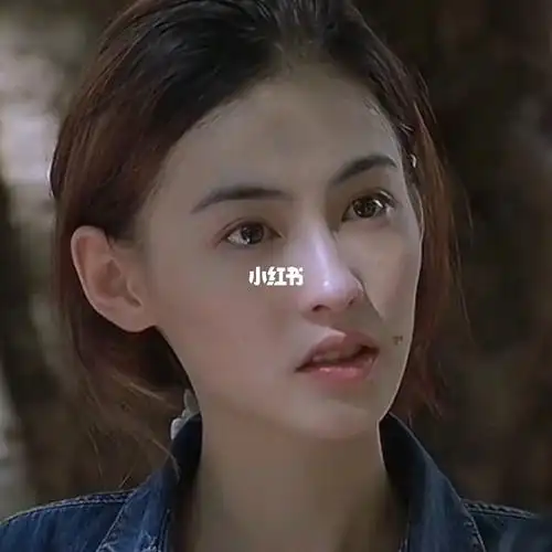 张柏芝可谓是颜值巅峰的时候了