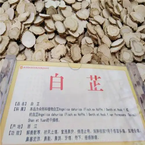 白芷价格白芷批发白芷功效