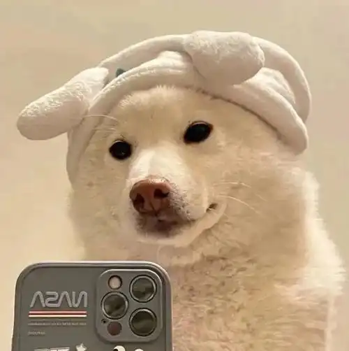 沙雕头像第二弹来啦