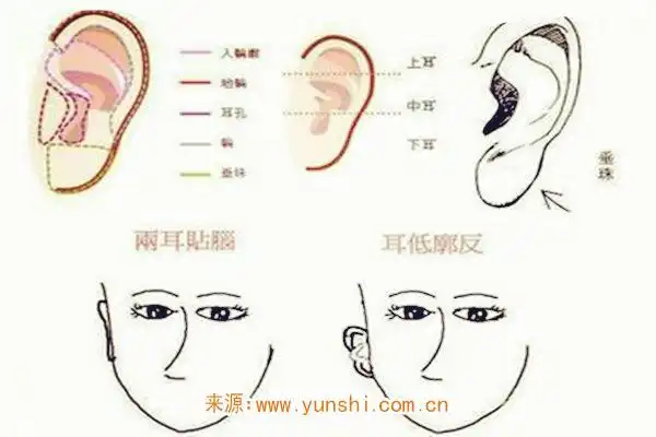 有福气的人面相