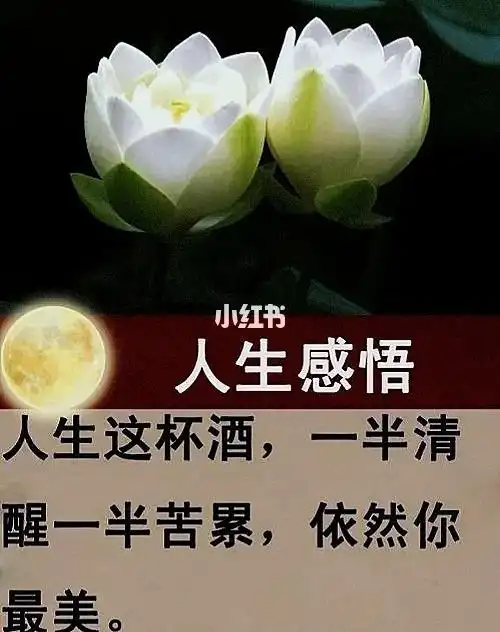 人生感悟心灵鸡汤