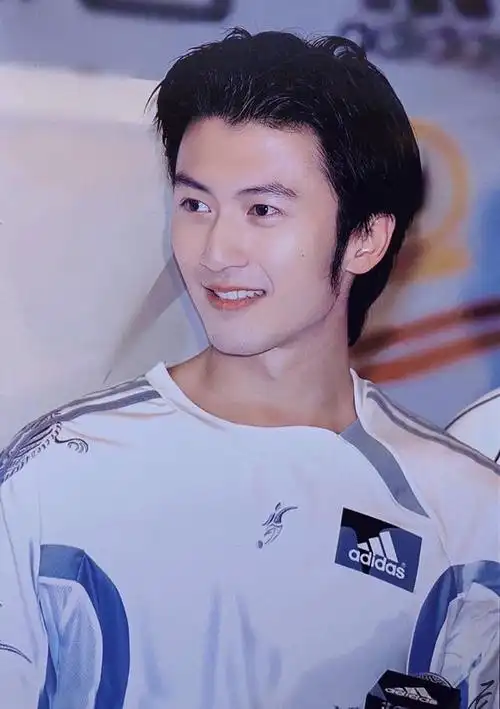 骨相最好的男明星—谢霆锋