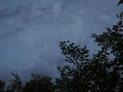 要下雨也不下雨,就这样阴沉还透着一丝冷意的天气,这就是阴天