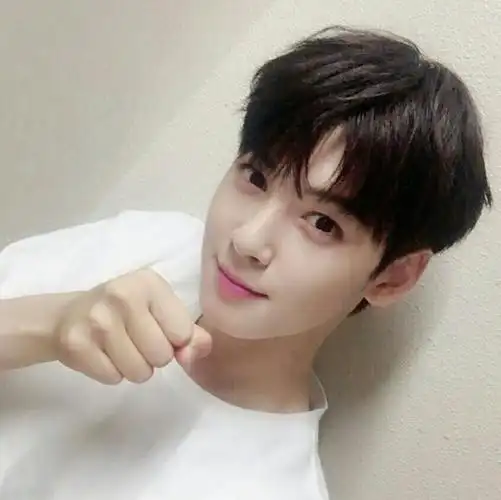 韩潮男星车银优头像集