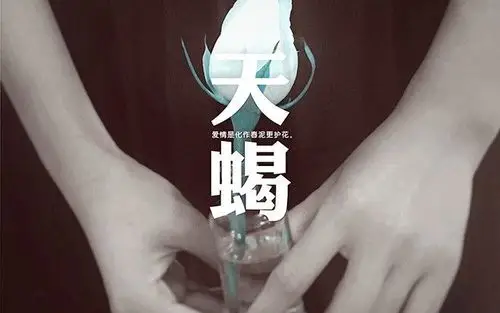 第四名:对爱情执着,难以放下的天蝎座