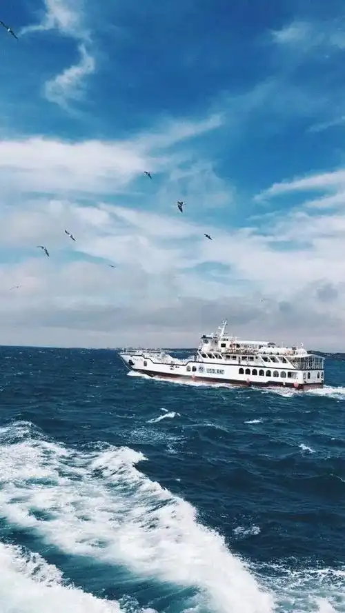 【杂图】蓝天大海,海鸥,轮船,唯美意境,手机壁纸