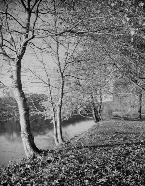 无人,竖图,黑白,室外,白天,湖,河流,森林,美国,地形,河岸,树,风景