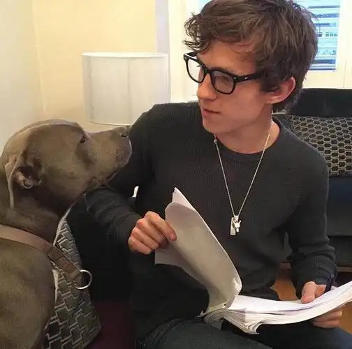 汤姆赫兰德荷兰弟