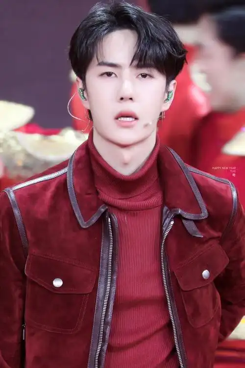 【王一博】2021.02.11央视春节联欢晚会 - 堆糖,美图壁纸兴趣社区