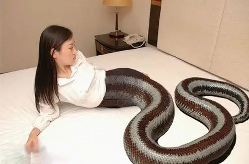 【图集】重口味!美女变人头蛇身妖女!惊艳vs惊悚 胆小者禁入!