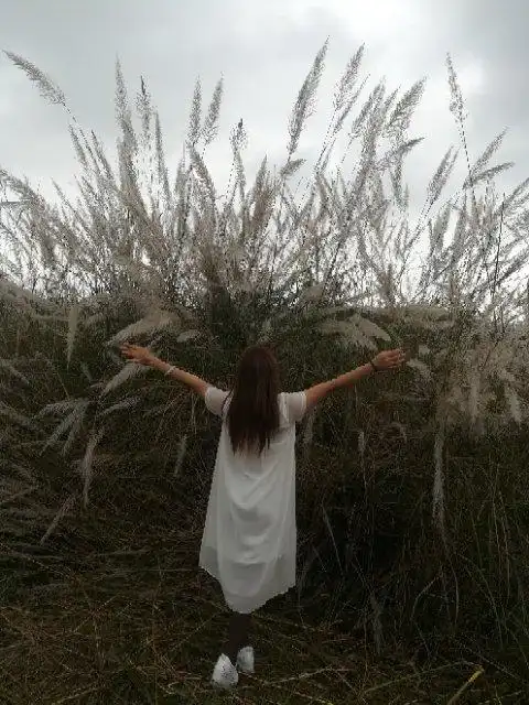 秋天你好 你好( ^_^)