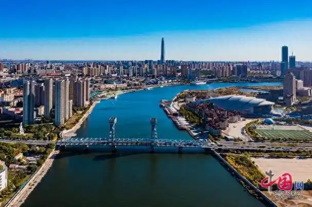 航拍天津市滨海新区海门大桥.中国网记者 郑亮摄