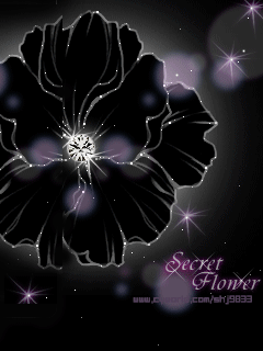 240_320竖版 竖屏gif 动态图 动图