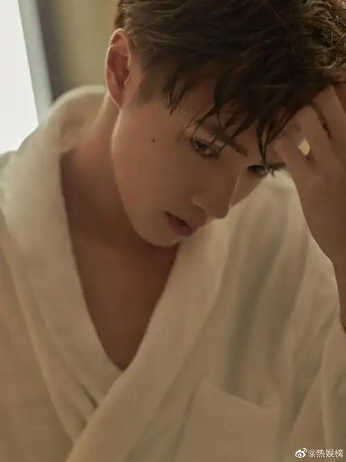 官鸿被封印的颜值