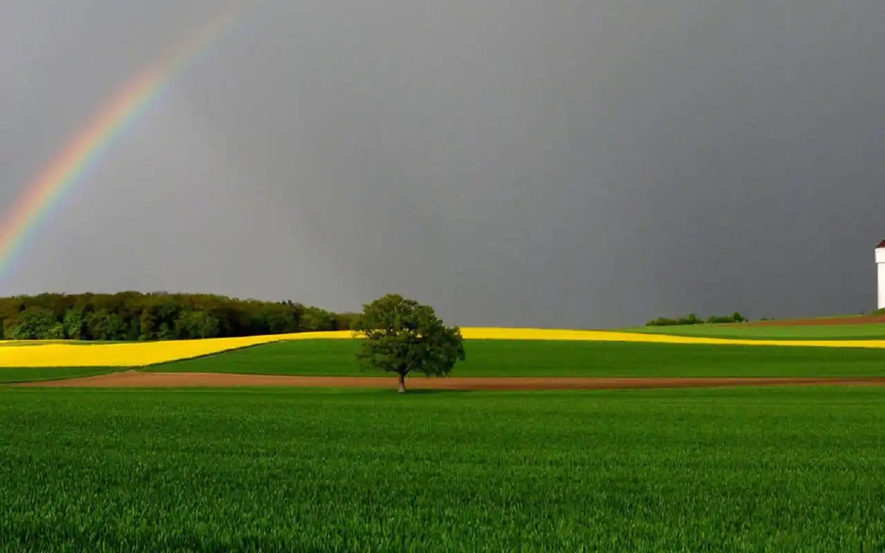 清新如画的自然风光图片桌面壁纸高清大图预览1920x1200_风景壁纸下载