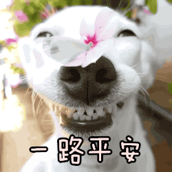 一路平安小狗萌萌哒搞笑蝴蝶gif动图_动态图_表情包下载_soogif