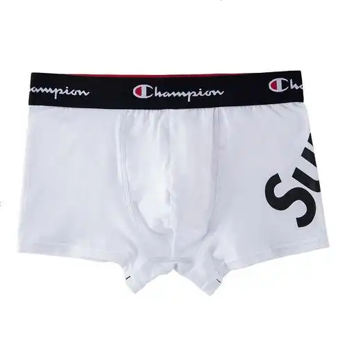 champion冠军联名男士内裤两条装春秋情侣平角裤