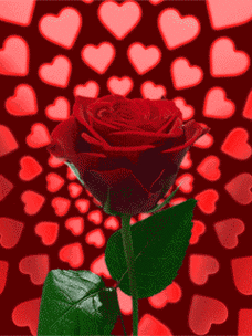 玫瑰花红色爱心美丽gif动图_动态图_表情包下载_soogif