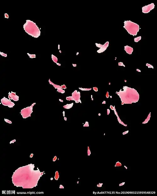 飘落的桃花瓣图片