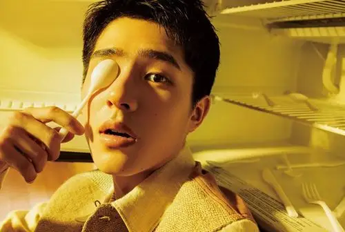 青春阳光大帅哥刘昊然照片