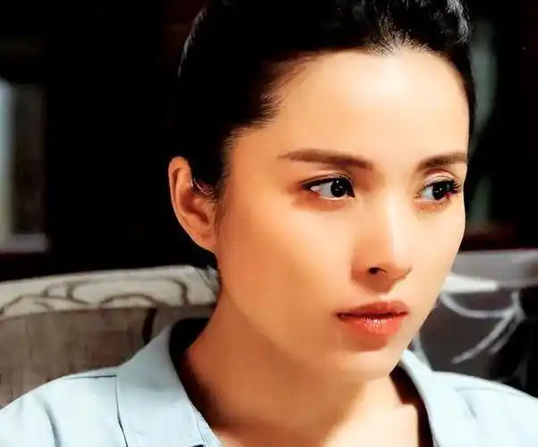 回顾靳东:与离过婚的江珊同居5年,为何又转身娶了二婚的李佳?