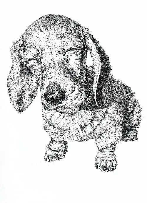 原创手绘-黑白点画 - 原创作品 - 站酷(zcool)