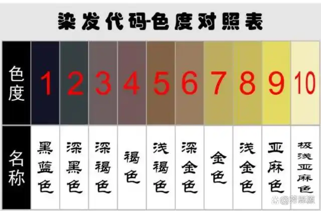 学会准确判断头发的底色是染好头发的关键一步