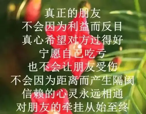 什么是朋友,这样的人才是真正的朋友