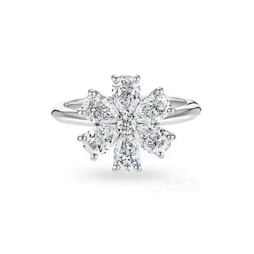 海瑞温斯顿勿忘我frdprfflrfmn戒指340