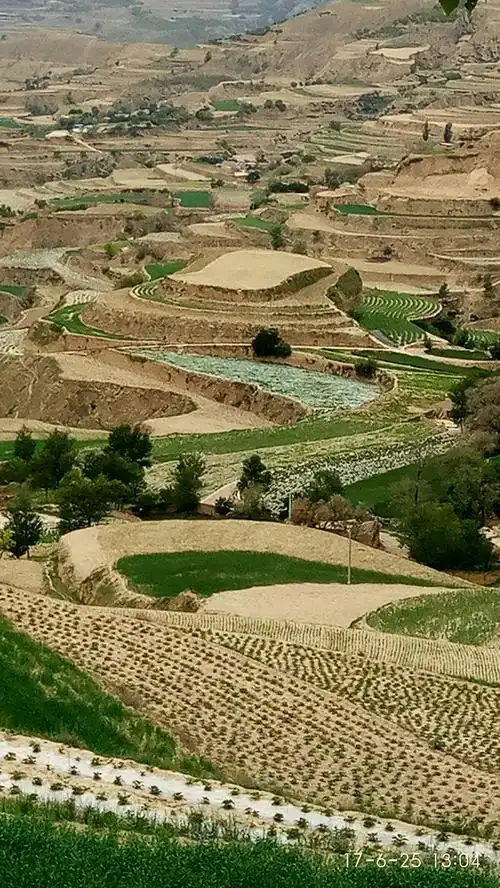 黄土高坡上的～梯田,高山杜鹃,一路美景!