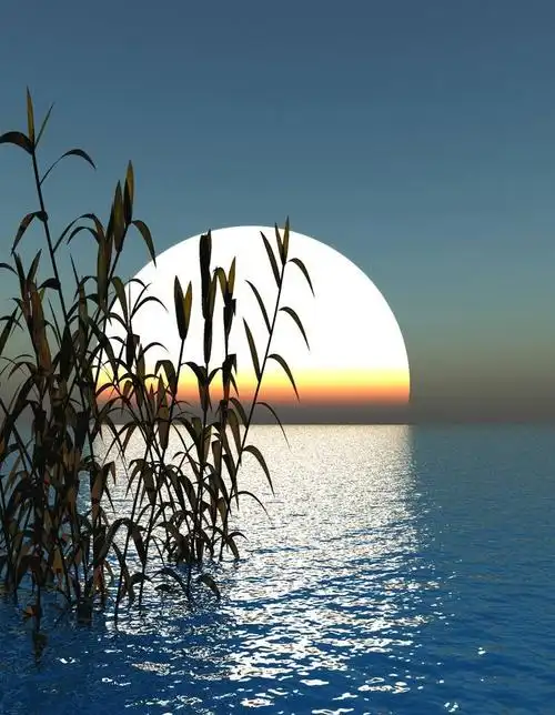 愿我们都能在细水长流的生活中,守得内心一份宁静,从容地笑看人生.