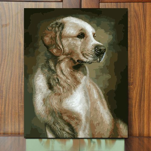 diy数字油画动物金毛宠物狗定制油彩画手绘填色客厅卧室装饰画