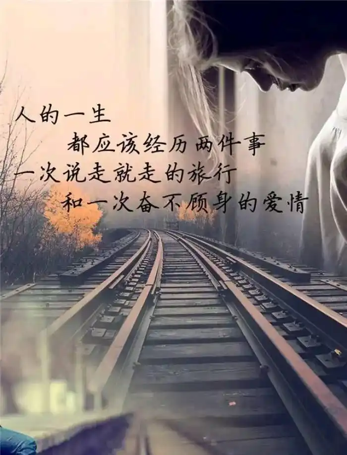 感情经典句子_何炅感情感悟的经典句子_周立波经典感情句子