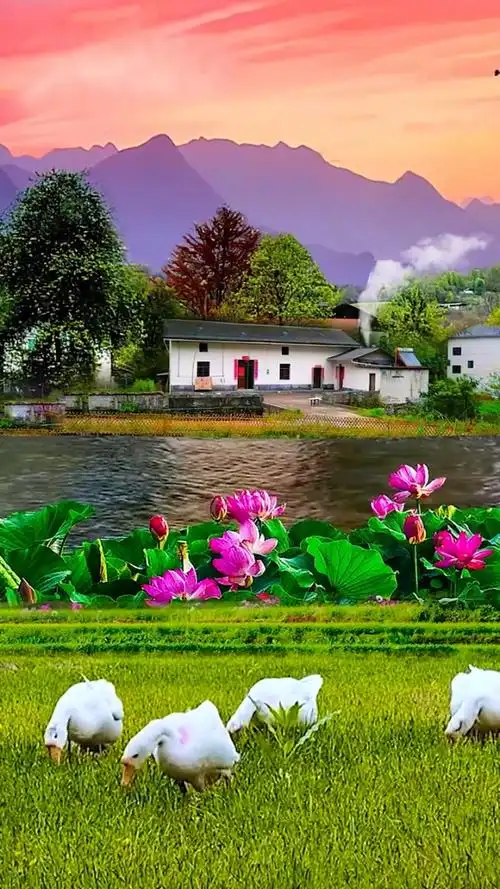 当您看到此风景希望会给您带来好运连连