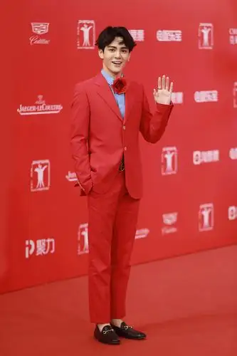 曾舜晞国际电影节红毯初体验梦想少年自信坦言不紧张