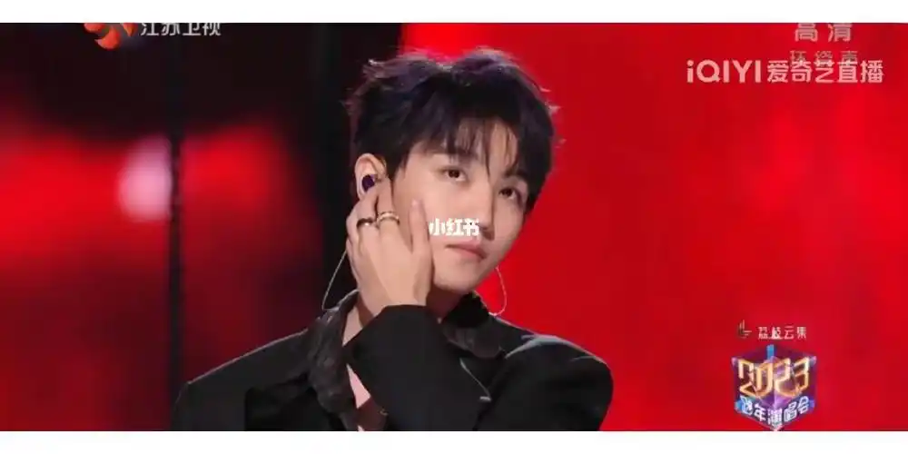 我为王俊凯举大旗