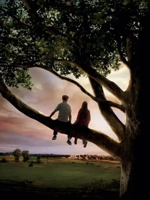 最爱的电影没有之一怦然心动