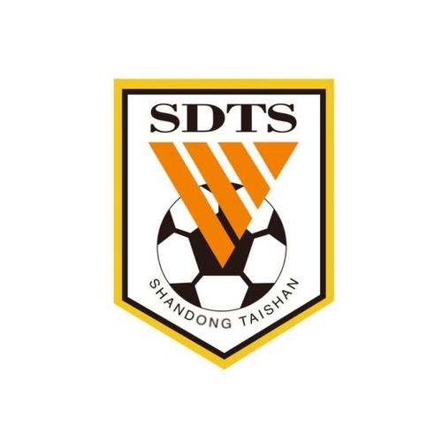 羽俙碧山东泰山队队徽贴纸鲁能足球球迷车贴队标个性创意汽车划痕遮挡